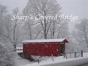 snowy_bridge.jpg